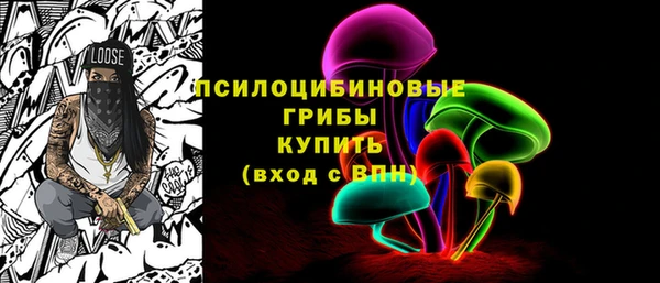 не бодяженный Алексин